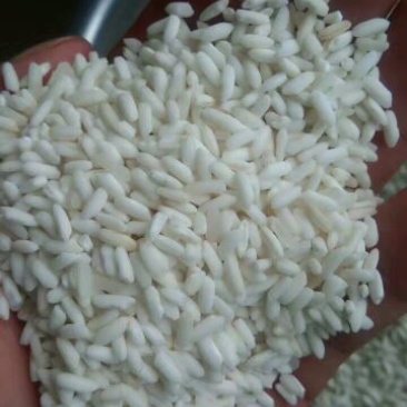 香米越南茉莉香米5451
