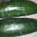 菜瓜20~30cm