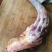 斑鳜食用冻鱼20~30cm