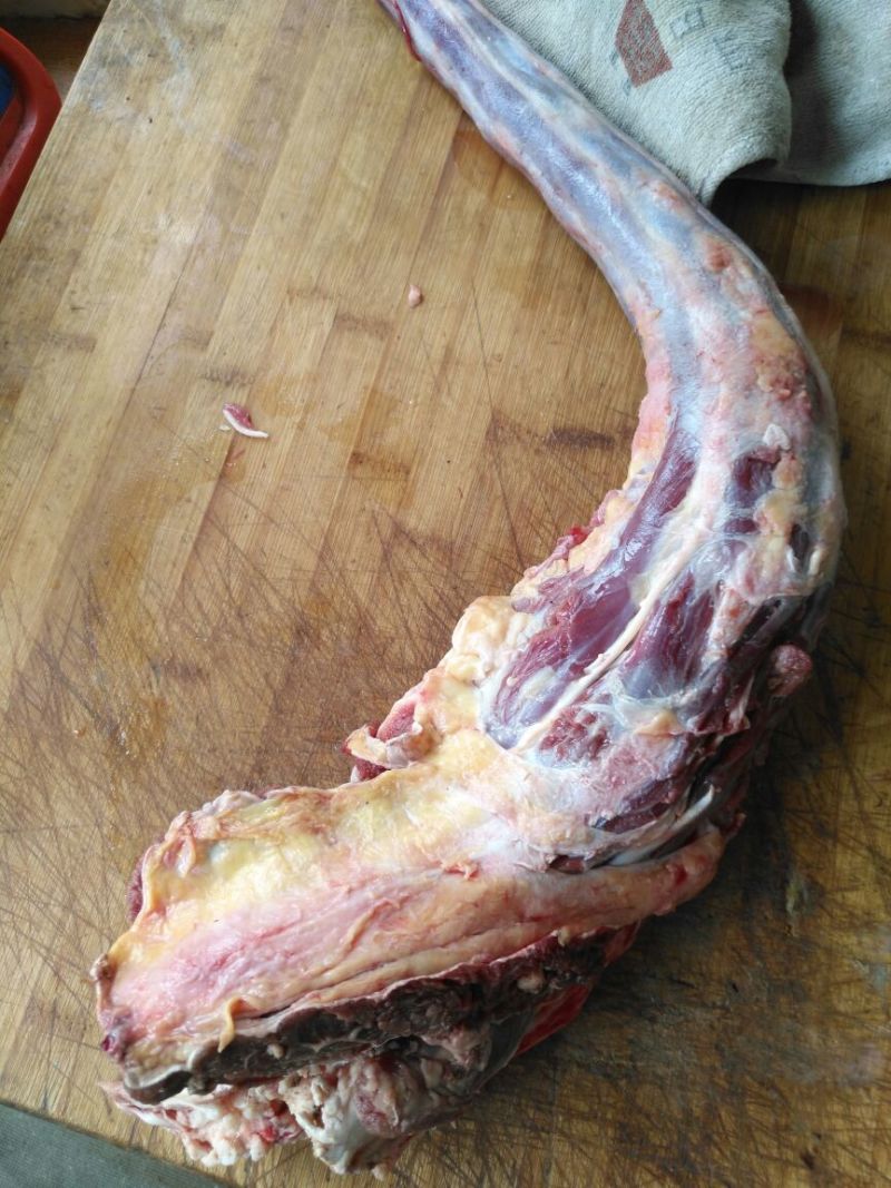 斑鳜食用冻鱼20~30cm