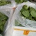 莲蓬8cm以上
