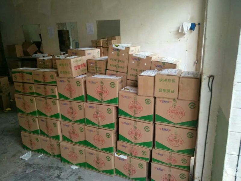 《实力》鲜枣大荔冬枣供应电商一件代发