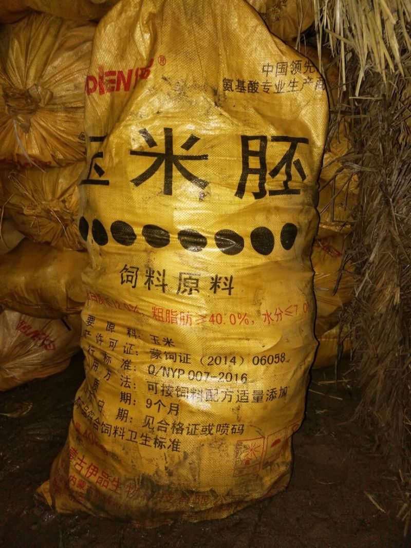 河蚌