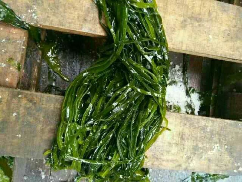 干海带丝自家产业，工厂直售