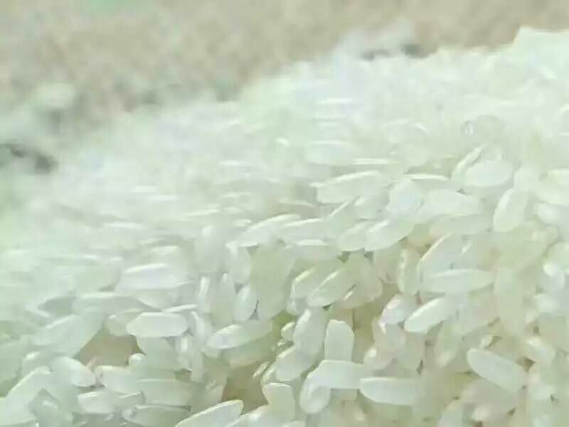 稻花香大米特级新米