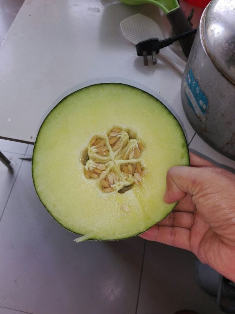 网纹瓜3斤以上椭圆形