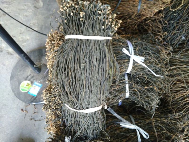 洋县脱水长豆角，产地直供，自然晾晒，无霉烂，无夹心欢迎各