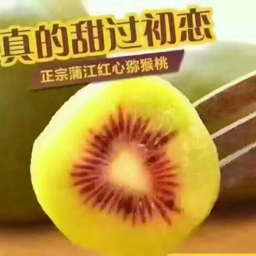蒲江红心猕猴桃各规格一件代发