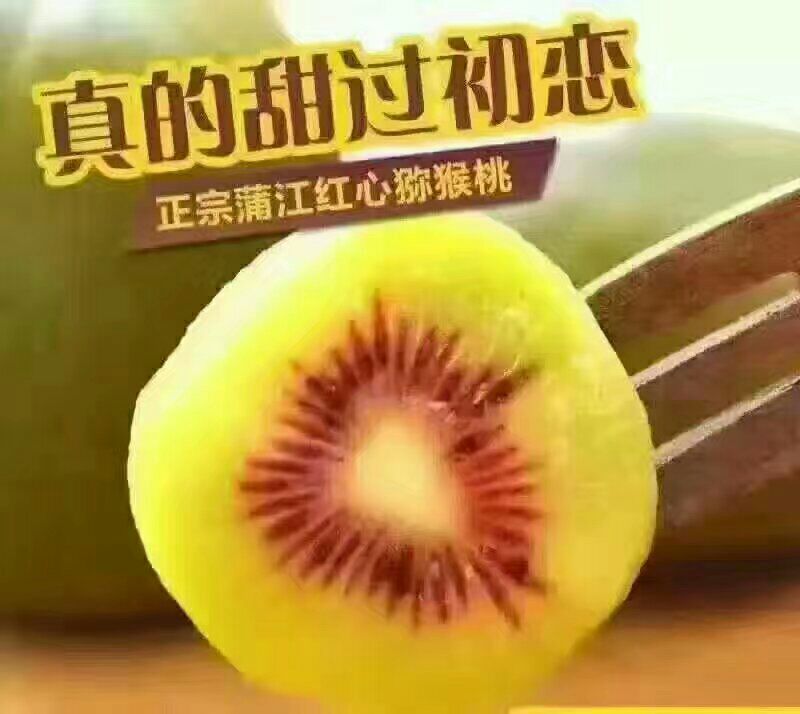 蒲江红心猕猴桃各规格一件代发