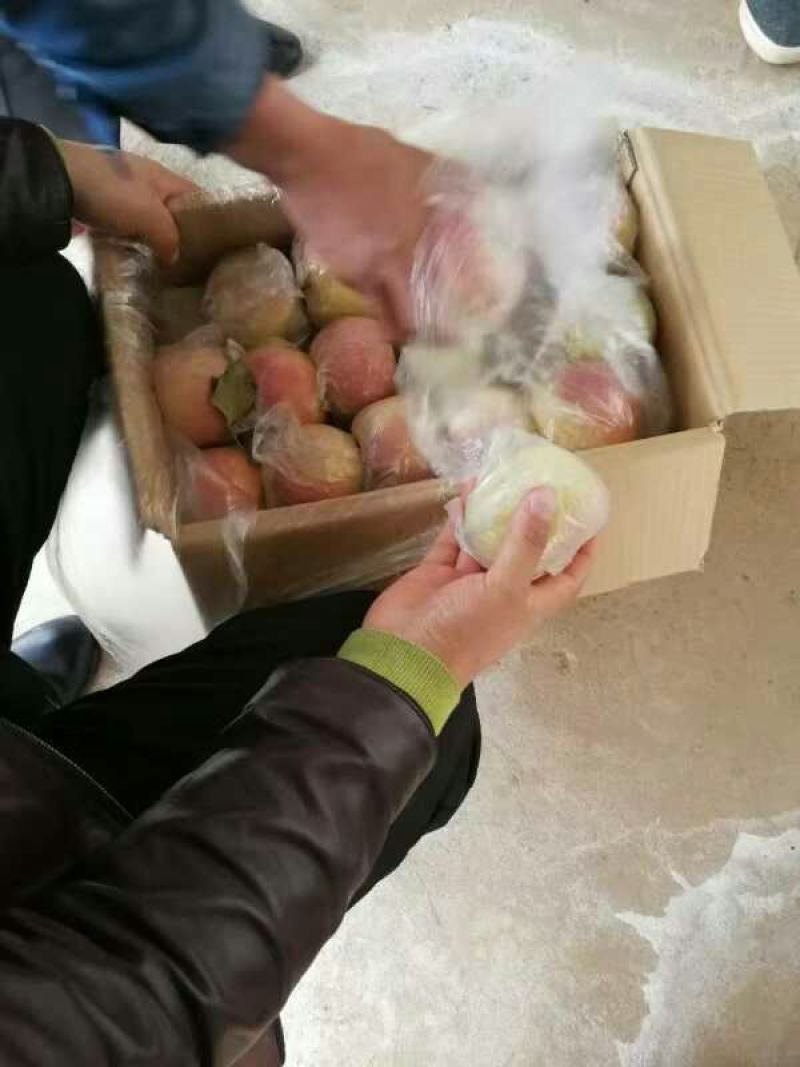 纸袋红富士苹果基地