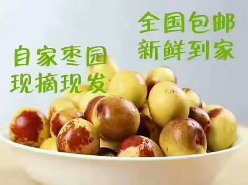 冬枣价格冬枣产地冬枣基地冬枣批发