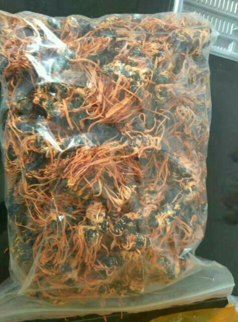 虫草花袋装