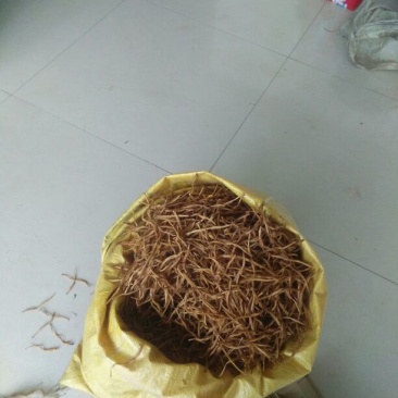 干黄菜