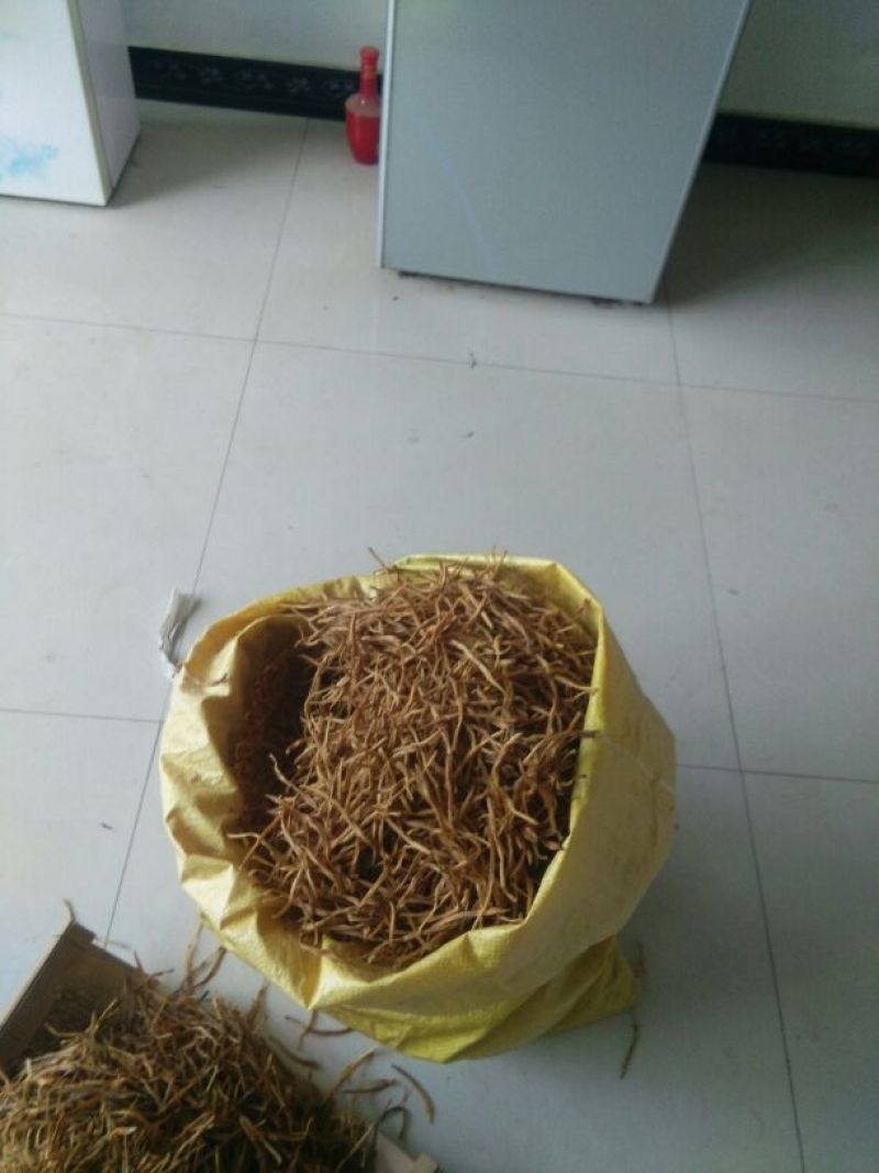 干黄菜