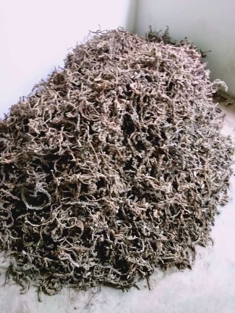 石菖蒲统条
