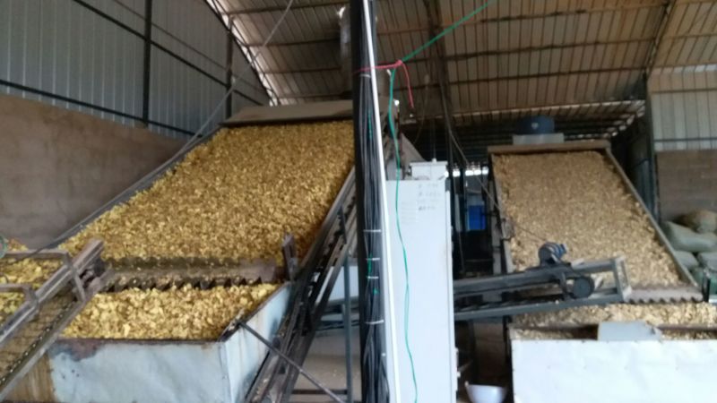 姜片