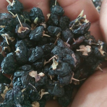 黑枸杞头茬干货
