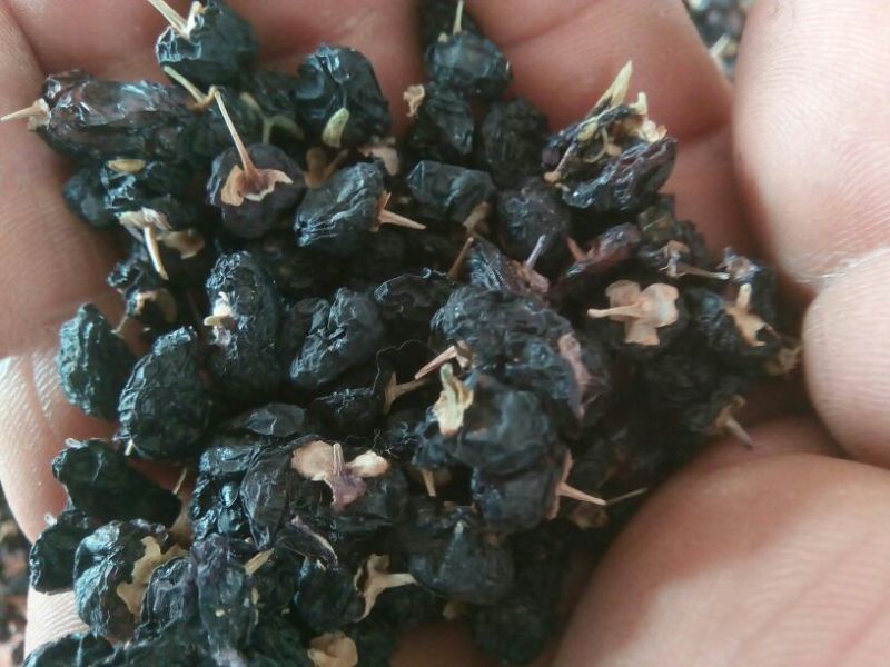 黑枸杞头茬干货