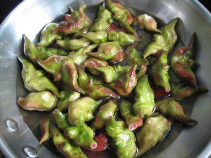 水红菱家菱