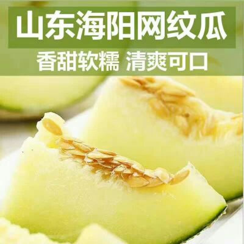 网纹瓜2斤以上椭圆形