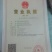 李子苗精品李子苗基因好青脆李子苗100~150cm