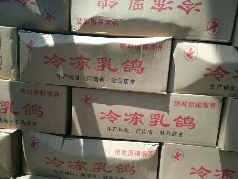 冰冻乳鸽