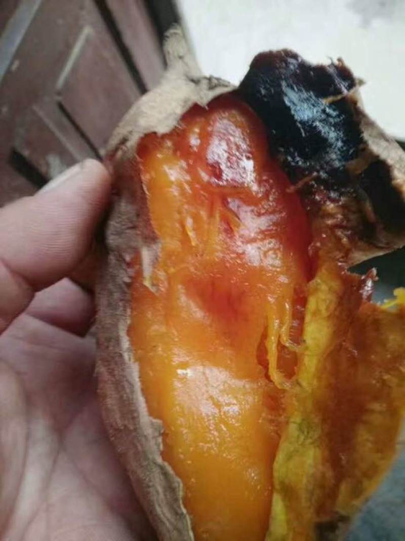 生薯3两以上小红薯红心
