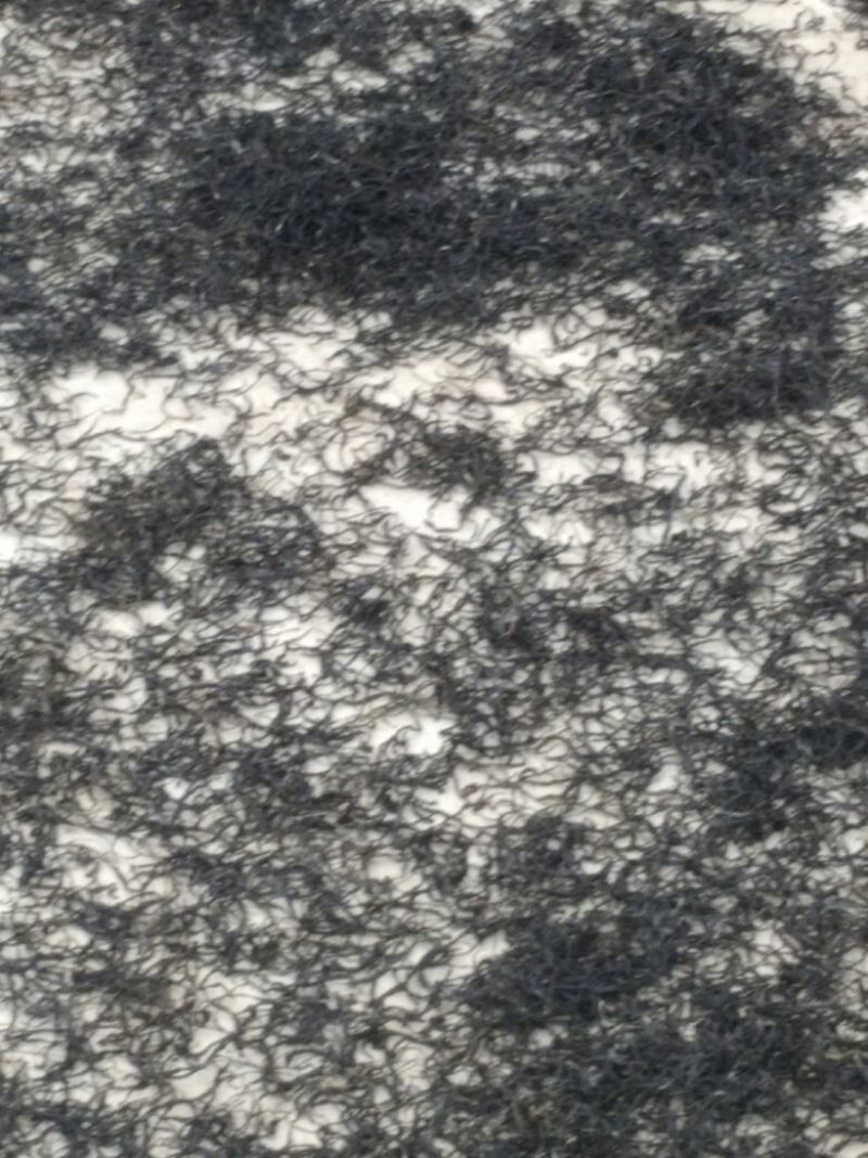 古树茶一级
