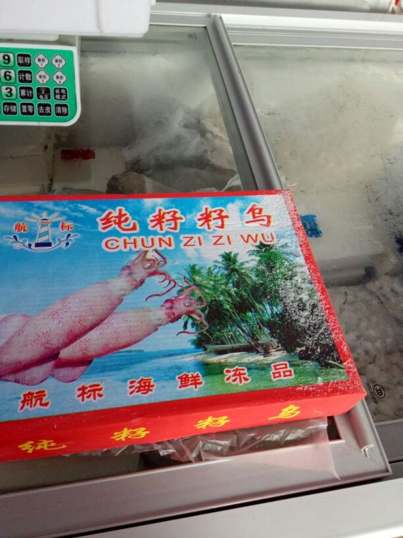 阿根廷红虾L1
