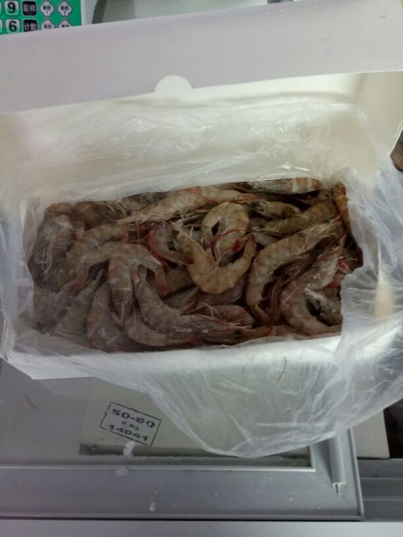 阿根廷红虾L1