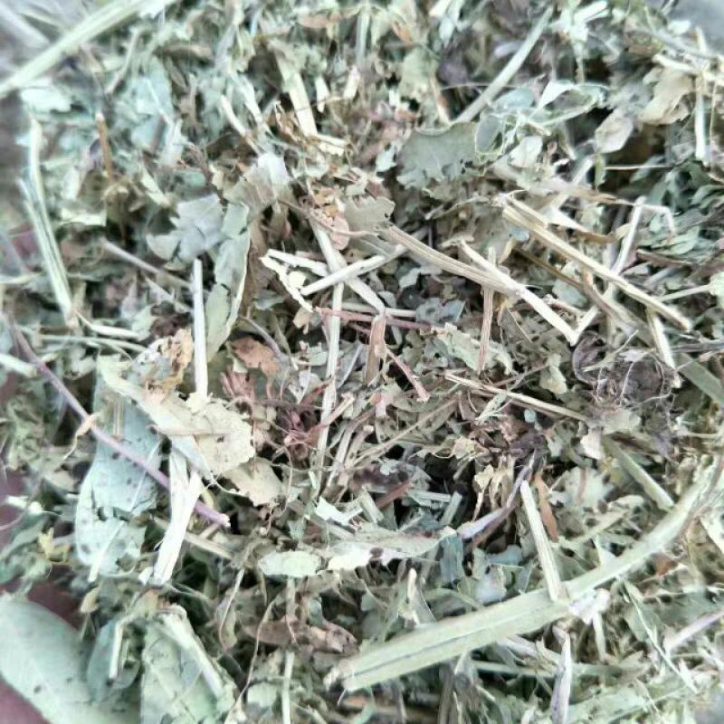 【热卖】河南驻马店花生秧18个月基地直发大量有货欢迎咨询