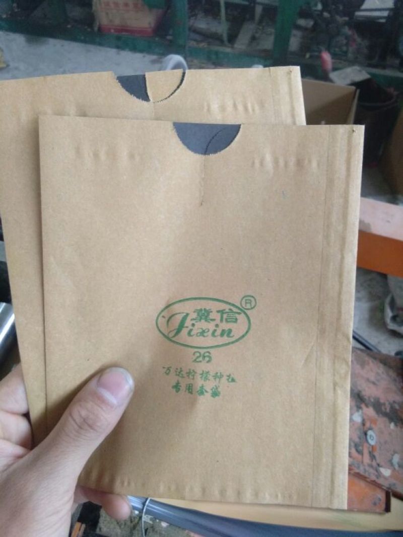 果袋