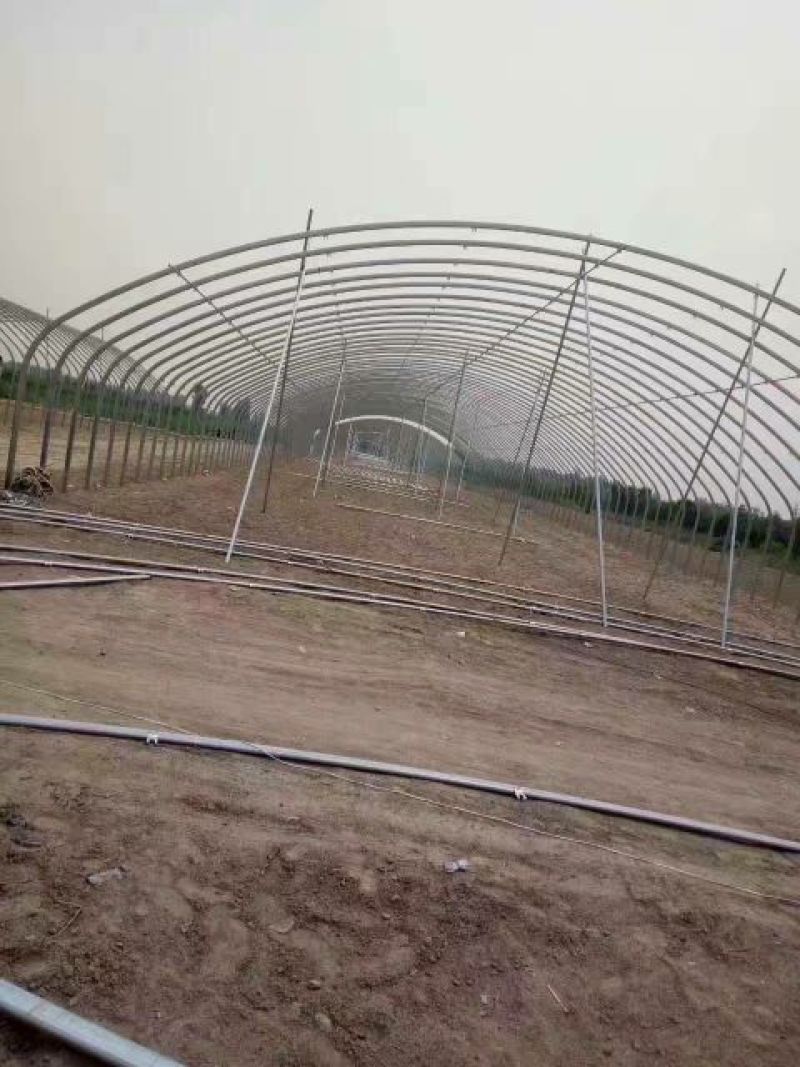温室大棚管联动热镀锌圆管热椭圆钢管厂家直销
