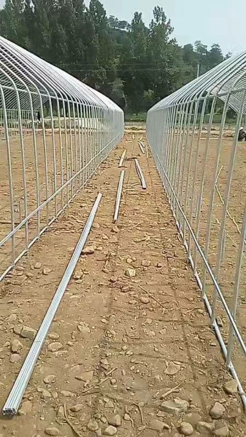 温室大棚管联动热镀锌圆管热椭圆钢管厂家直销