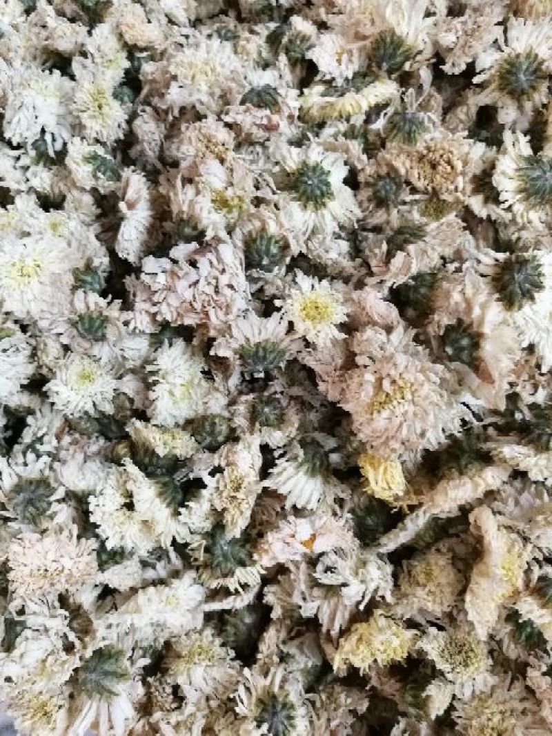 菊花茶白贡菊罐装50g包邮
