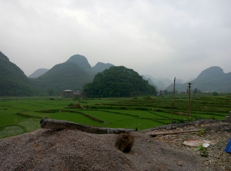 色选白米农家大米，新米，一级