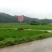 色选白米农家大米，新米，一级
