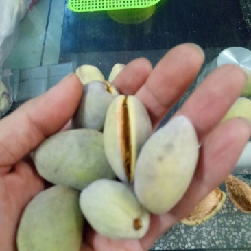 美国大杏仁特级