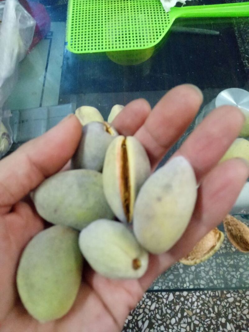 美国大杏仁特级