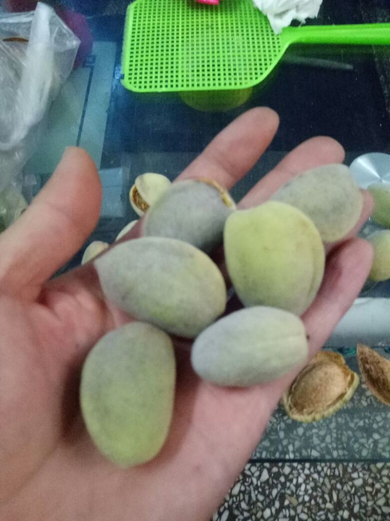 美国大杏仁特级