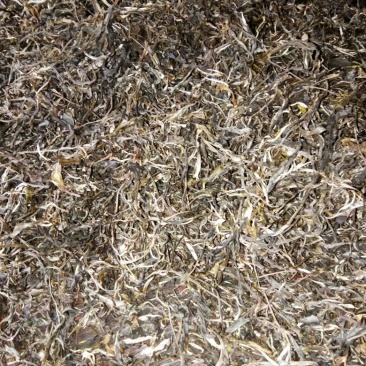 老树茶二级