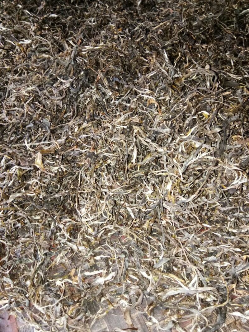 老树茶二级