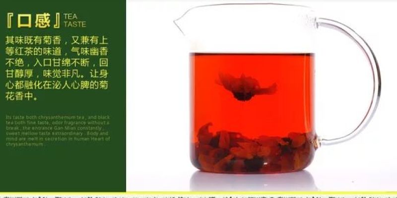 高海拔昆仑雪菊，克里阳雪菊