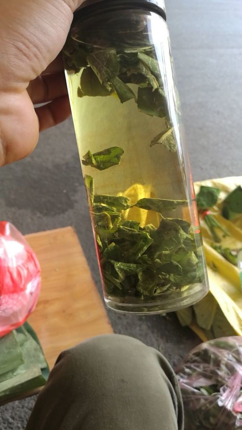 荷叶茶特级
