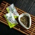 青钱柳茶特级