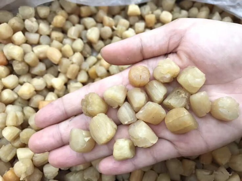 干瑶柱