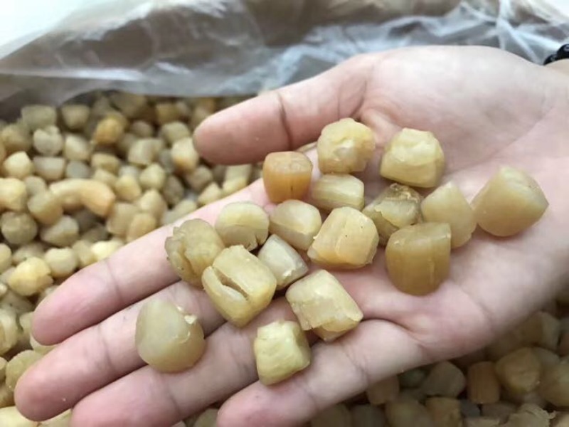 干瑶柱