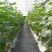 防草布60厘米宽500米长全新PE聚乙烯材质使用寿命长
