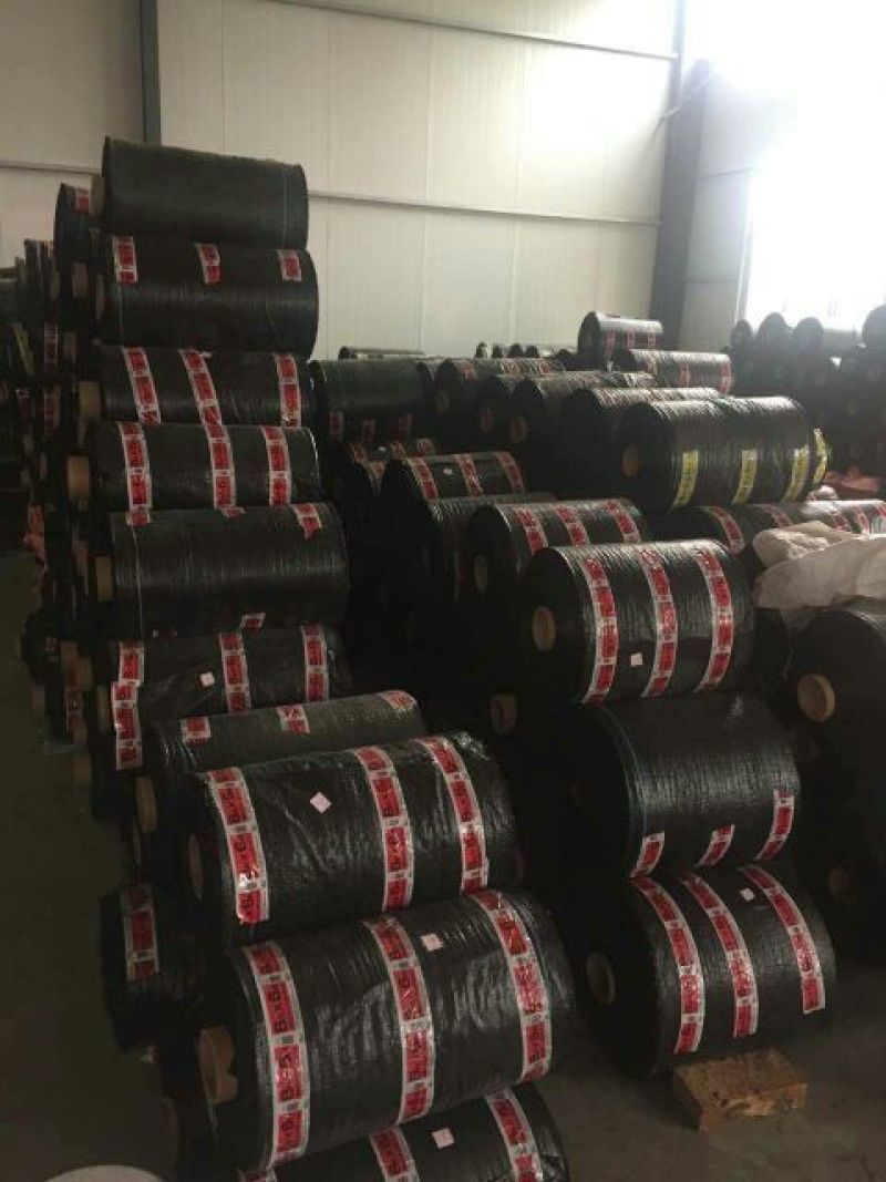 防草布60厘米宽500米长全新PE聚乙烯材质使用寿命长