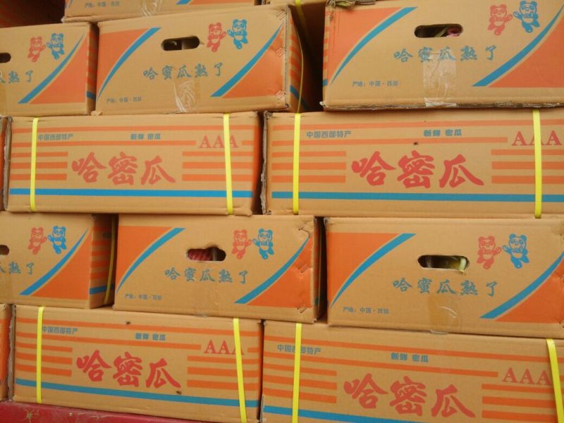 西州蜜瓜5斤以上椭圆形